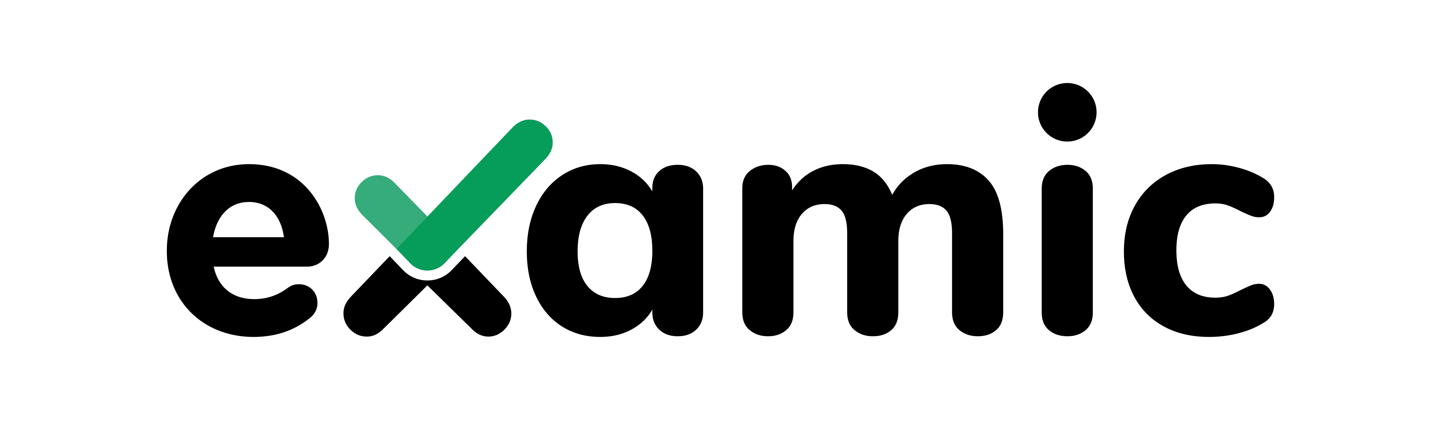 Examic Logo